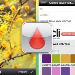 Yocli iPhone Codes Couleurs