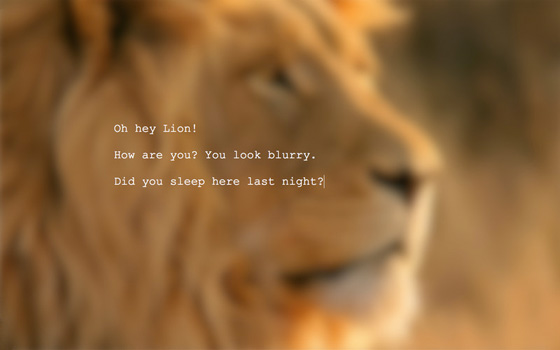 4-Launch-Writer-osx