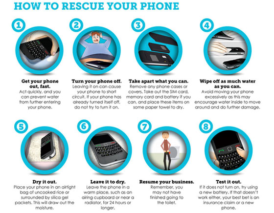 Conseils Sauver iPhone Smartphone Tombé Toilettes Eau