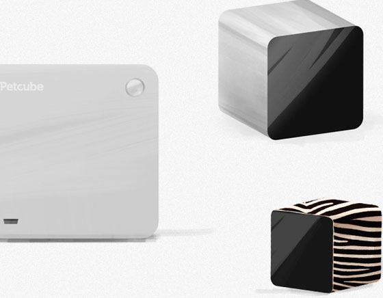 PetCube-iPhone-Kickstarter-Chat-Chien-4