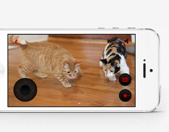 PetCube-iPhone-Kickstarter-Chat-Chien-5