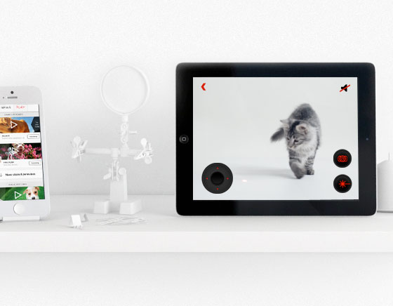 PetCube-iPhone-Kickstarter-Chat-Chien-6