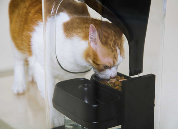 42ark-bistro-chat-distributeur-nourriture-connecte-3
