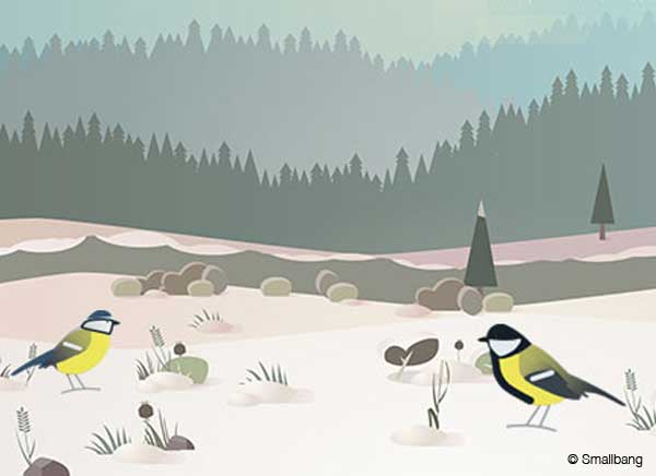 BirdLab-iPhone-2