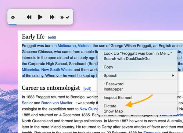 Dictater-Mac-OSX-2