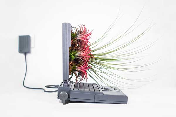 christophe-guinet-apple-mac-plante-pot-4