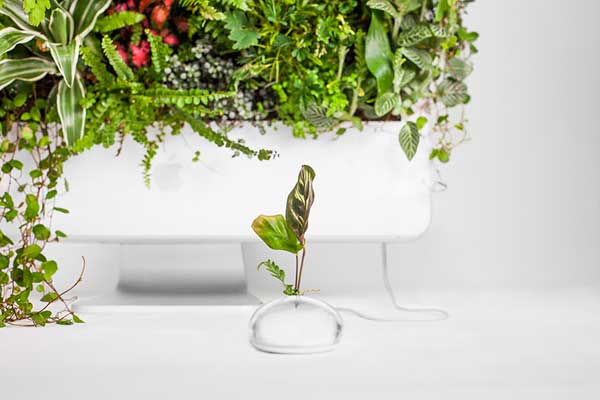 christophe-guinet-apple-mac-plante-pot-5