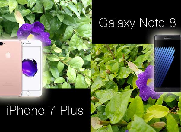 Galaxy Note 8 vs iPhone 7 Plus Capteur Video