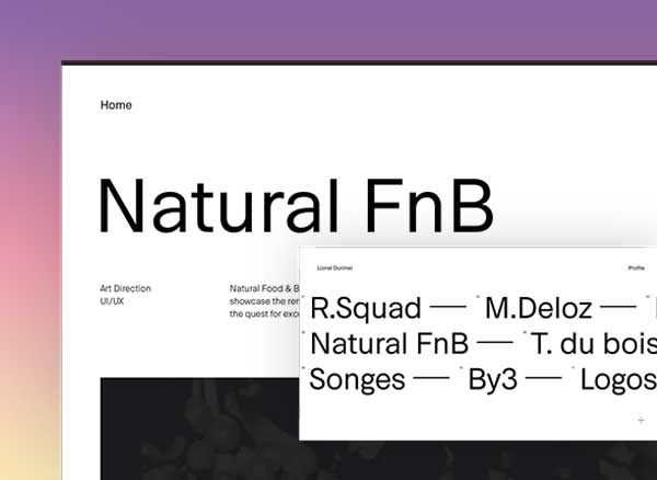 FontFace Ninja