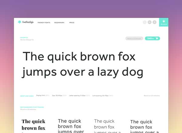 FontFace Ninja