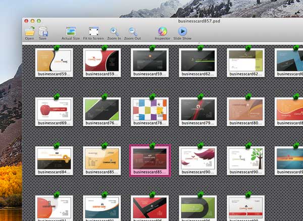 Biz Card Templates Photoshop Mac
