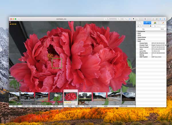 Photo Video EXIF Viewer Mac