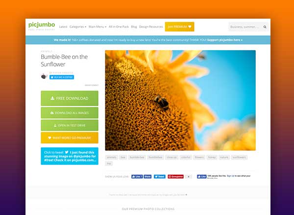 PicJumbo com