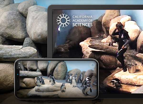 Pocket Penguins iPhone iPad