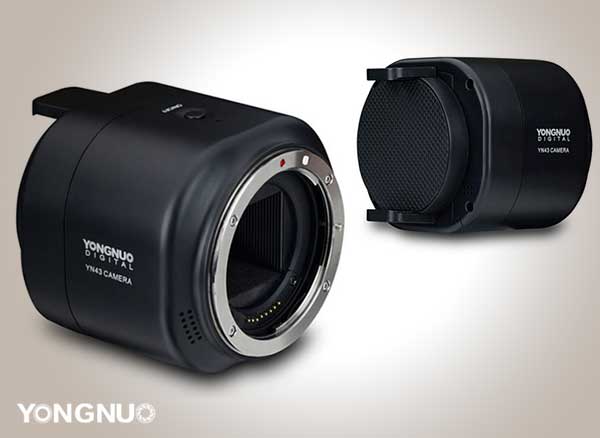 yongnuo yn43 support objectif photo