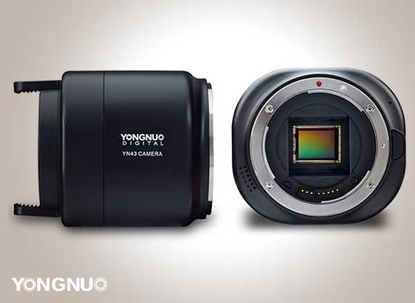 yongnuo yn43 support objectif photo
