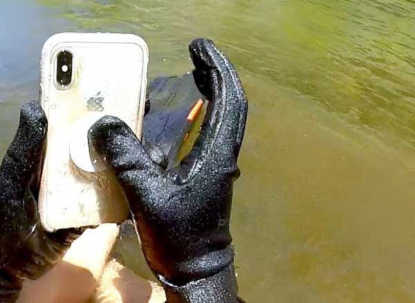 iphone x peche miraculeuse sous la mer