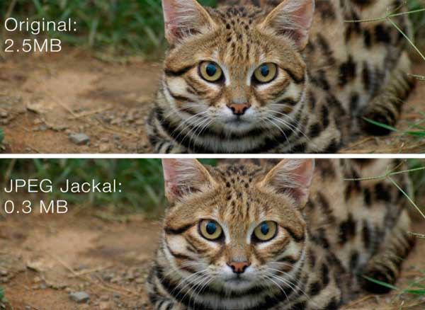 jpeg jackal macos mac
