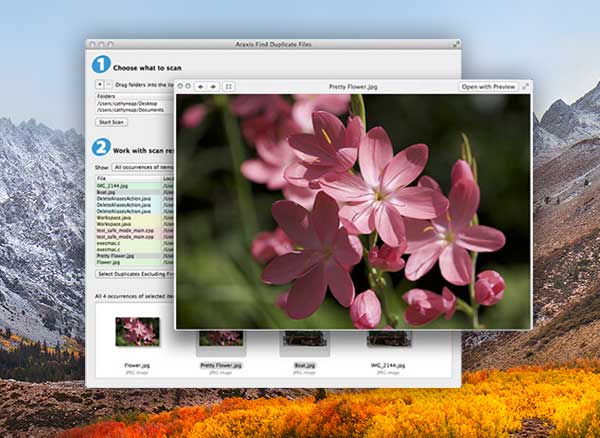 Araxis Find Duplicate Files Mac