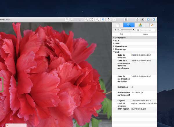 apolloone macos mac