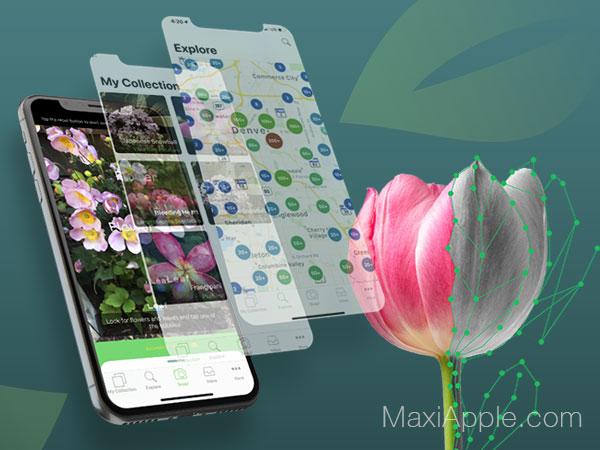 plantsnap-plant-identification-iphone-ipad-gratuit