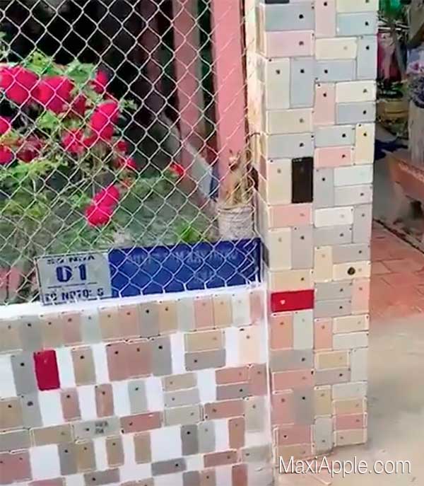 Insolite Mur d'iPhone au Vietnam