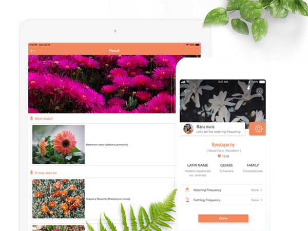 PlantDetect iPhone iPad