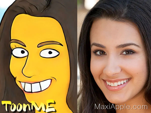 ToonME mac pc ios android webapp