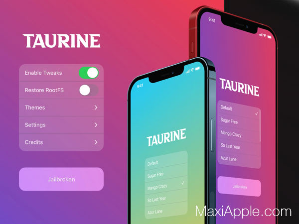 Taurine App Jailbreak iOS 14