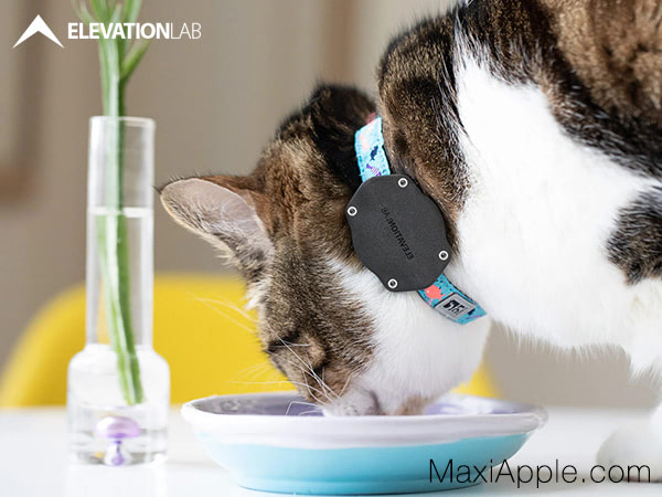 collier harnais airtag chiens chats prix
