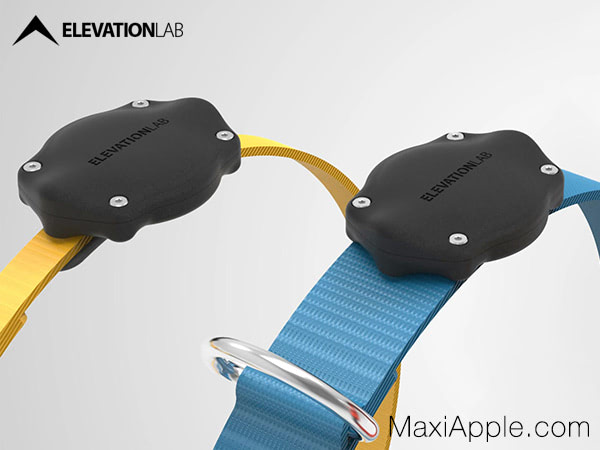 Support De Collier Personnalisé Pour Chien AirTag - Coque De