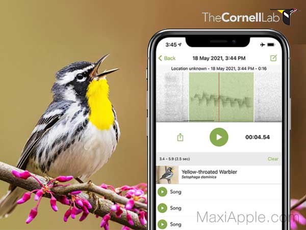 Merlin Bird ID iPhone iOS Android