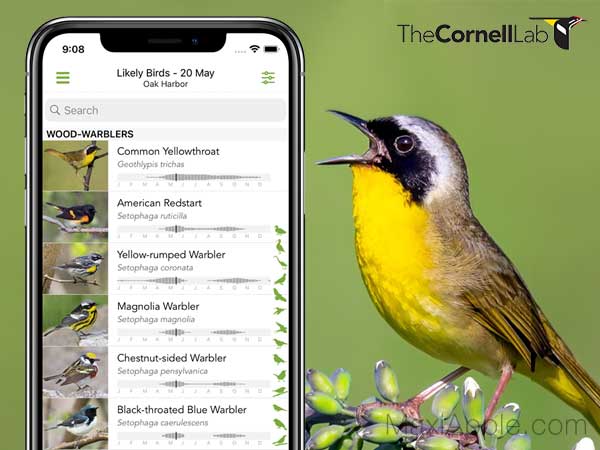 Merlin Bird ID iPhone iOS Android
