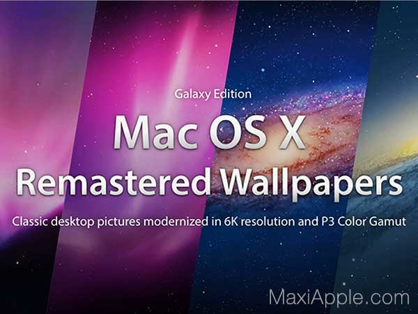 Fonds d'Ecran 6K Leopard, Snow Leopard, Lion, Mountain Lion Gratuit