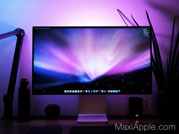 Fonds d'Ecran 6K Leopard, Snow Leopard, Lion, Mountain Lion Gratuit
