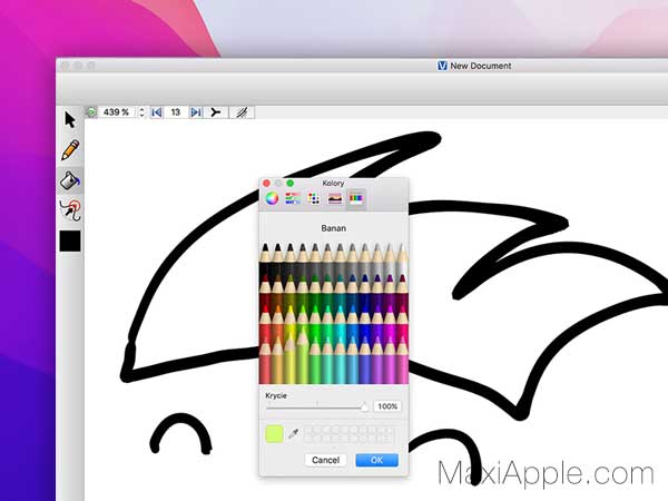VPaint macOS Windows