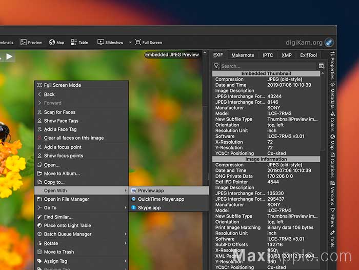 digiKam macOS