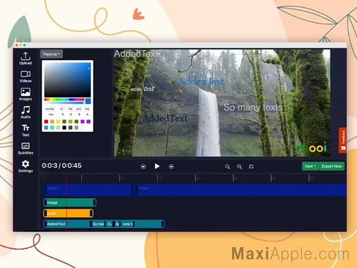 Edit Videos Online