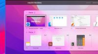 1Piece macOS