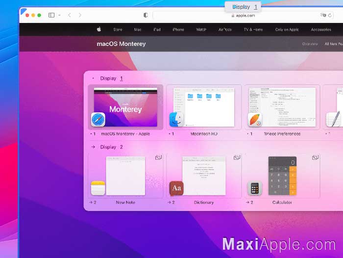 1Piece macOS