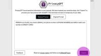 PrivacyGPT Mac PC
