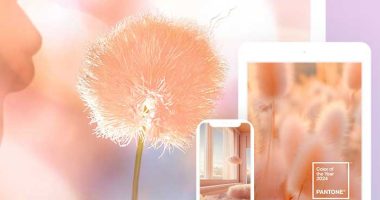 Pantone Peach Fuzz Wallpaper