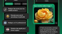 ChatBox iOS Android