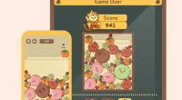 QSWatermelon iPhone