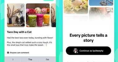 TikTok Notes iPhone