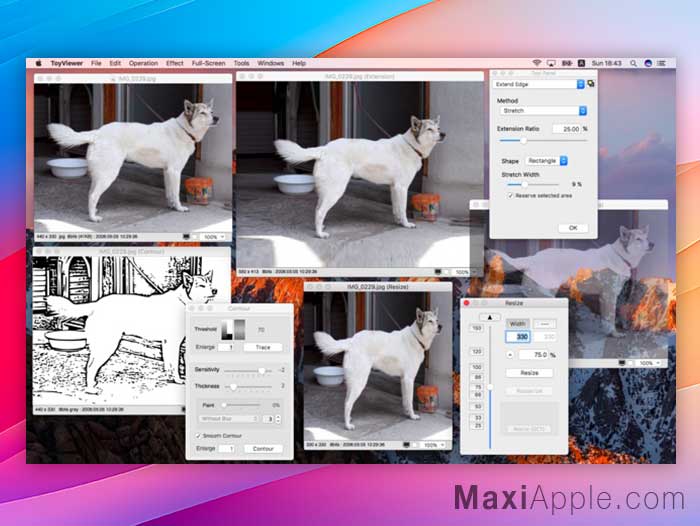 ToyViewer macOS Mac Gratuit