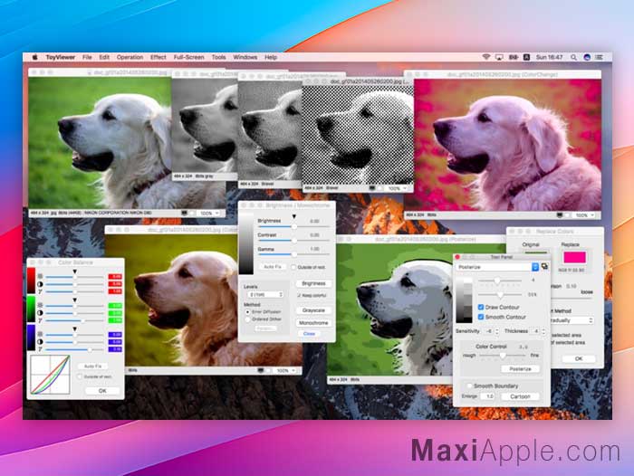 ToyViewer macOS Mac Gratuit