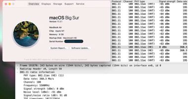 Wireshark macOS Windows Gratuit App