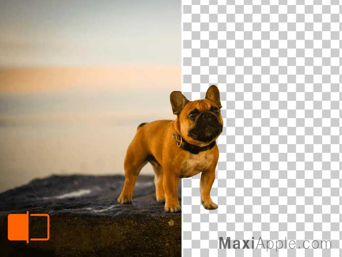 Remove-BG IO AI IA Effacer Arriere Plan Photo Image HD