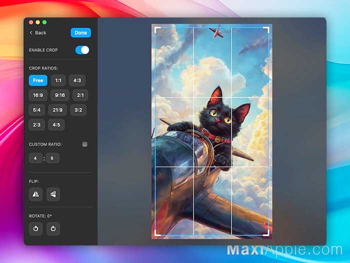 Pimosa macOS Mac PC Windows Promo App Edition Conversion Audio Video Photo